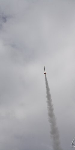 2013 Svojek Mirek Topinka